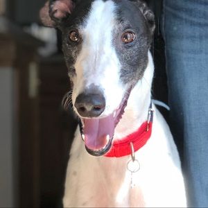 Meet your Posher, Jackson